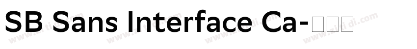 SB Sans Interface Ca字体转换 SB Sans Interface Ca字体转换
